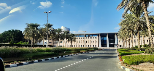 جامعة زايد الإمارات العربية المتحدة - أم القيوين - +971 4 402 1111