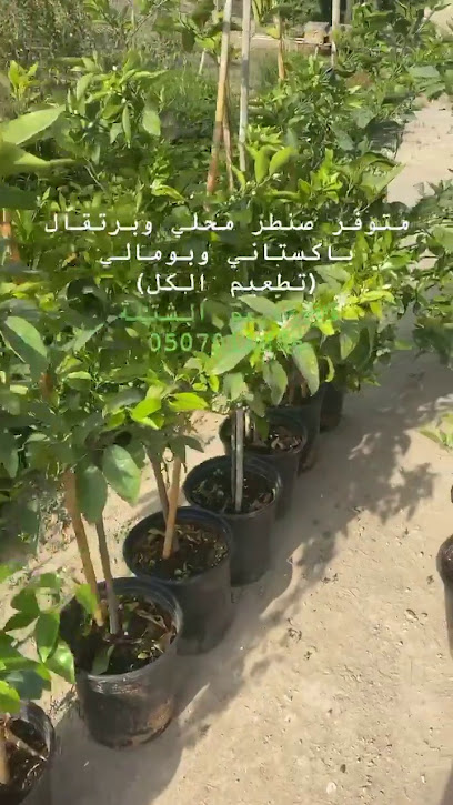 الإمارات بلانتيشن - United Arab Emirates|Ras al Khaimah|E89