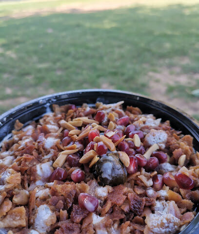 جدر ورق عنب للمحاشي - الشارقة - +971 50 530 5320