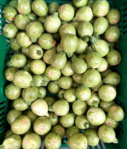 سوق المزارعين على الشرفة - الشارقة -