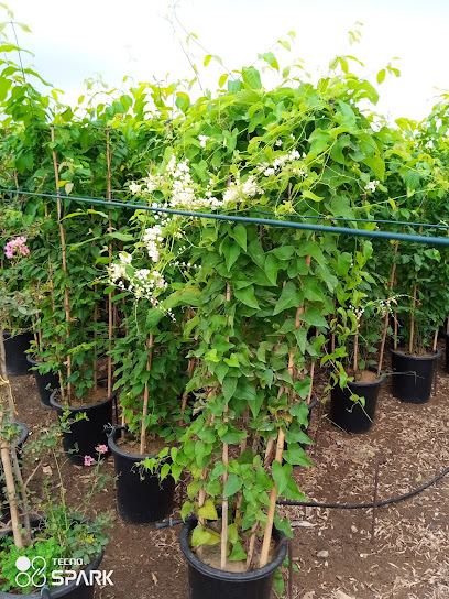 مبيعات الحضانة الخضراء (فرع 1) - United Arab Emirates|Roul Dadna - Fujairah|H82X+93V