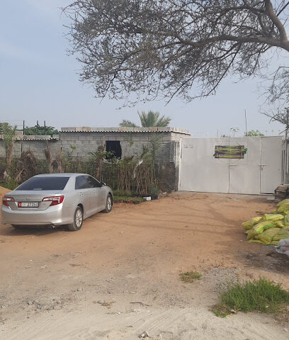 مزرعة نشوان لصاحبها سعيد الحنطوبي مزرعة نشوان - أم القيوين - +971 50 989 8994