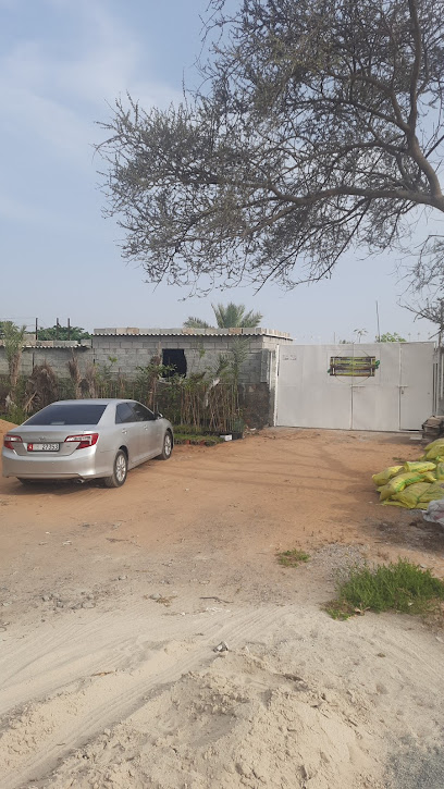 مزرعة نشوان لصاحبها سعيد الحنطوبي مزرعة نشوان - United Arab Emirates|Al Bidyah - Fujairah|C8RX+69
