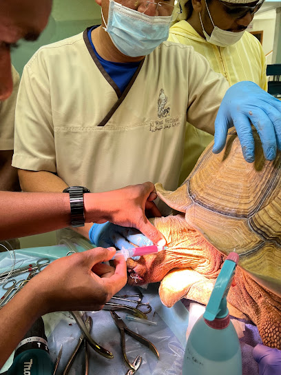 مركز فالكون (عيادة الوصل البيطرية) - United Arab Emirates|Jumeirah - Jumeirah 1 - Dubai