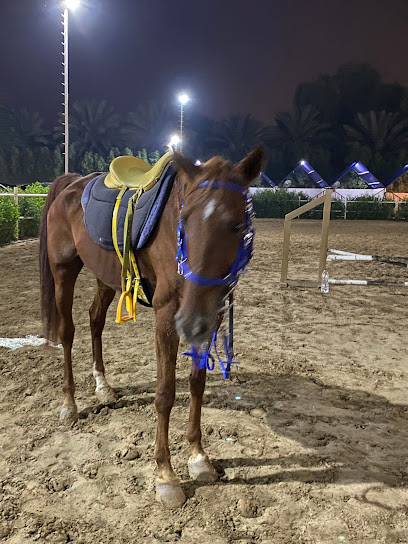 إسطبل ركوب الخيل M3 - United Arab Emirates|Wadi Al Amardi - Dubai|5FXM+JG7