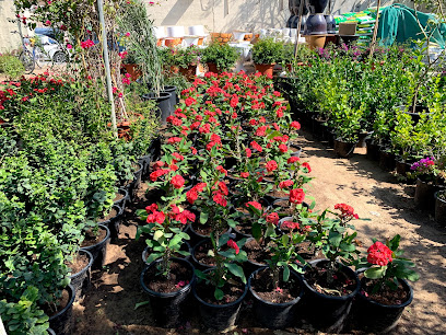 مؤسسة محمد ابراهيم الزراعية - أم القيوين - +971 6 538 5083