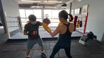 أداء استوديو الملاكمة - الشارقة - +971 58 587 7269