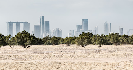 جزيرة الجبيل (JIIC) - الشارقة - +971 2 448 0011