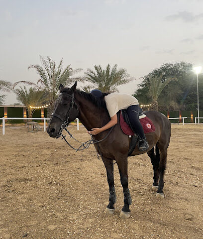 سرج الفروسية - الشارقة - +971 58 221 2116