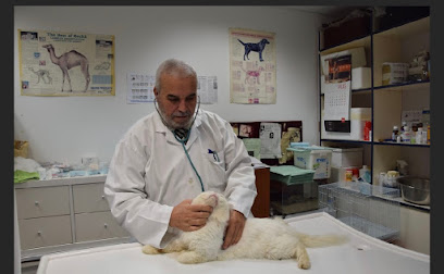 عيادة بيطرية جديدة أبوظبي - أم القيوين - +971 2 672 5955