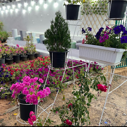 حضانة مشتل الزهرة - أم القيوين - +971 50 891 9355