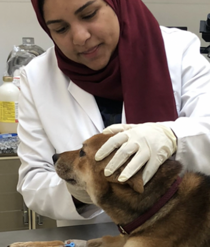 عيادة الرحمة البيطرية - أم القيوين - +971 54 788 4491