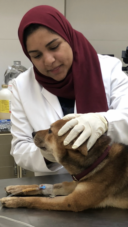 عيادة الرحمة البيطرية - United Arab Emirates|Ajman|Rashed bin abdelaziz