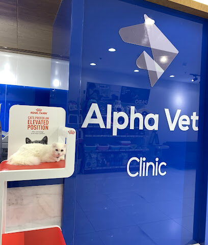 عيادة ألفا فيت دبي - أم القيوين - +971 56 689 1655