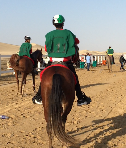 إسطبل السلع - الشارقة - +971 50 511 1025