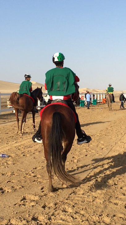 إسطبل السلع - United Arab Emirates|Al Wathba - Al-Wathba South - Abu Dhabi|5PMQ+JW7