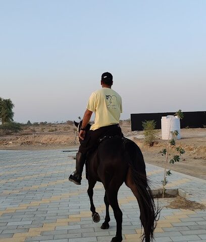 اسطبلات عيسى - الشارقة - +971 50 750 8810