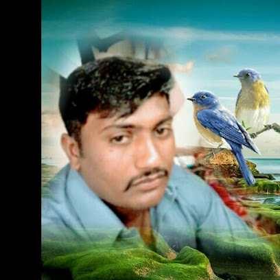 مالك أديب 649 جيجا - الشارقة - +971 56 691 5963