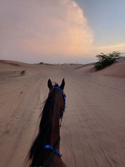 الاسطبلات - United Arab Emirates|Al Bedea Suburb - Agricultural Falah - Sharjah|8G2V+FHJ