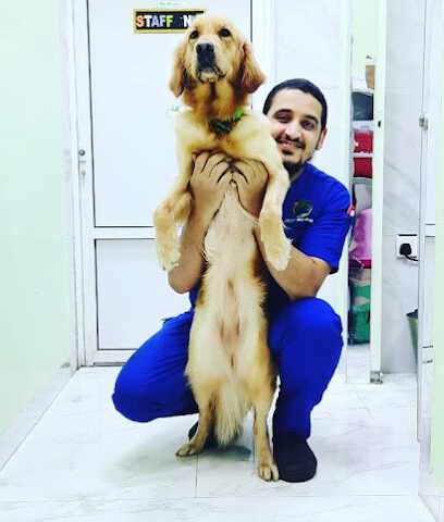 عيادة العاصفة البيطرية - أم القيوين - +971 55 665 7701