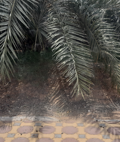 إدارة النفايات Averda - أم القيوين - +971 800 283732