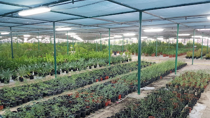 مشتل نباتات الزراعى - أم القيوين -