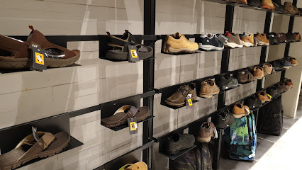 قطة - الشارقة - +971 2 631 2673