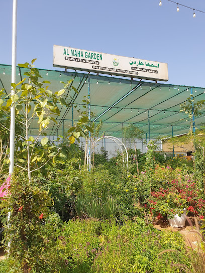 حديقة المها - United Arab Emirates|Al Atheab - Umm Al Quawain|GPC7+59R