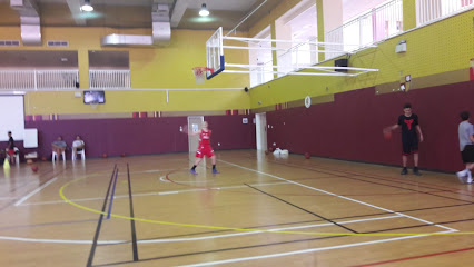 أكاديمية كرة السلة بدبي - الشارقة - +971 50 683 0665