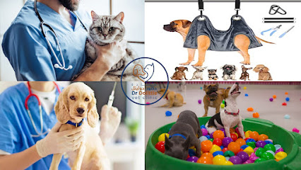 دكتور دوليتل فيت كلينيك دبي - عياده دكتور دوليتل دبي - أم القيوين - +971 58 195 0500