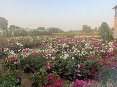 حضانة جرين سيد بيدبا (حضانات سلمان) - أم القيوين - +971 55 104 5361