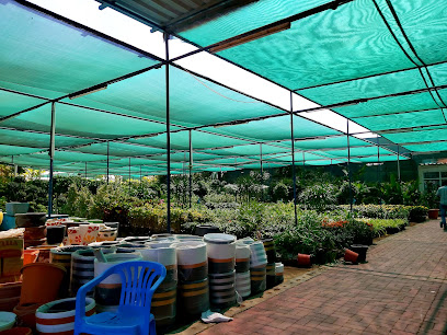 حضانة دبي (ذ. - United Arab Emirates|Dubai|Al Warsan 3