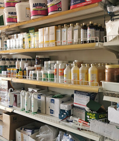 واحة العين البيطرية - أم القيوين - +971 52 773 4407