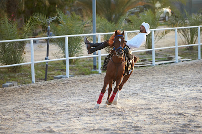 اسطبلات ياه - الشارقة - +971 50 277 7748
