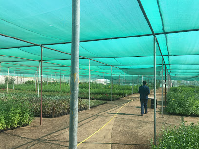 حضانة عكار - أم القيوين - +971 4 296 3955