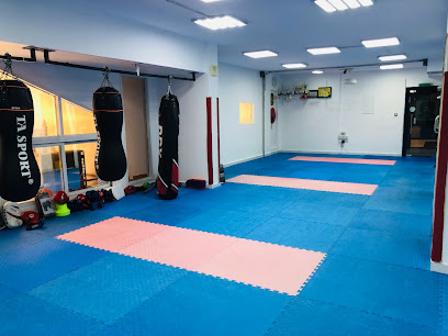 مدرب الكاراتيه والكيك بوكسينغ أبو ظبي - الشارقة - +971 50 677 1353