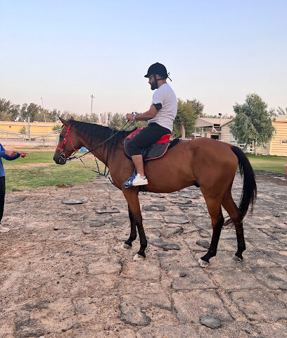 اسطبلات الجياد - الشارقة - +971 50 599 5866