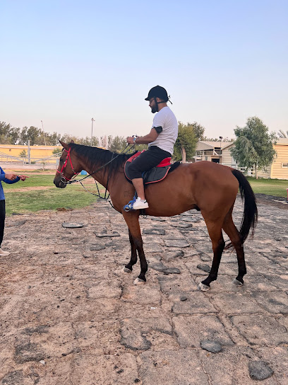 اسطبلات الجياد - United Arab Emirates|Dubai|Al Qudra Rd|R6FQ+H5R