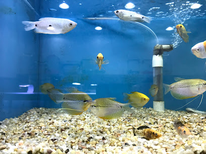 عيادة رموز الشرق البيطرية - أم القيوين - +971 50 747 9201