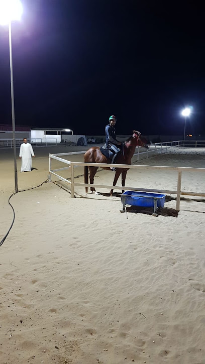 اسطبلات بن عيد - United Arab Emirates|Al Wathba - Abu Dhabi|5QFH+M68