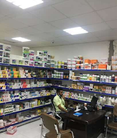 الفنار - أم القيوين -