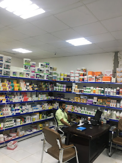 الفنار - United Arab Emirates|Ras Al-Khaimah|Unnamed Road|MWGF+8FC