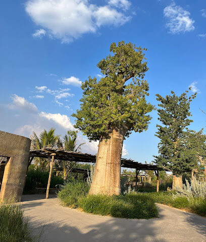 سفاري الشارقة - أم القيوين - +971 6 803 7777