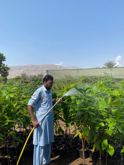 حضانة فيصل عرفان - United Arab Emirates|Fujairah|Unnamed Road|H6GM+992