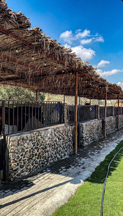 روش - United Arab Emirates|Sharjah|Unnamed Road - Khor Fakkan