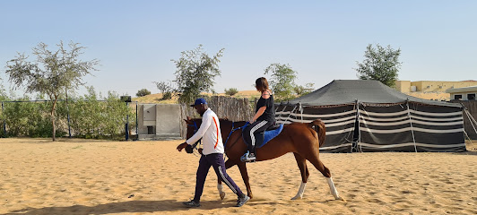 إسطبلات الكثبان الرملية السعيدة - الشارقة - +971 55 849 4333