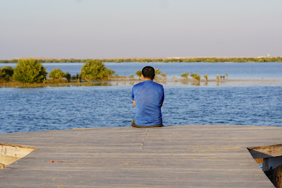 شاطئ المانجروف - الشارقة -