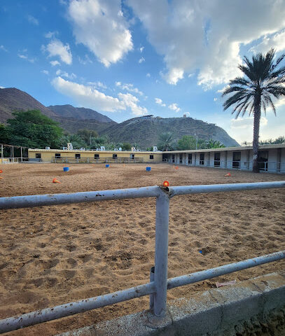 اسطبلات الريان - الشارقة -