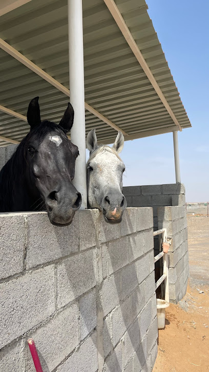 K11 مستقر - United Arab Emirates|Mudfak - Ras al Khaimah|HWJW+PH6