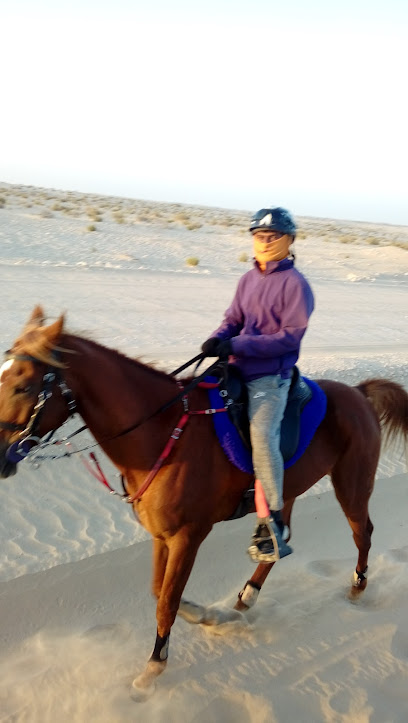 اسطبلات المغاوير اسطبلات المغاوير - United Arab Emirates|Al Mi'rad - Abu Dhabi|Sweihan Road